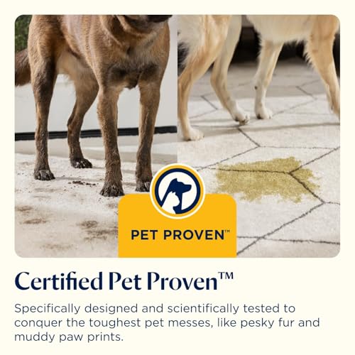 BISSELL SpotClean Pet, Carpet Cleaner, Portable Spot Cleaner, Spills & Carpet Stain Remover – image 3